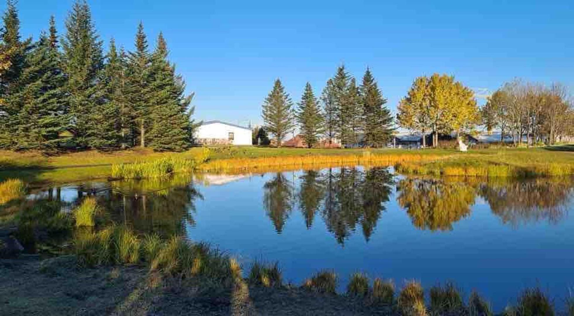 Great 8 Person House Reykjavik Free Use Of Car! Villa ภายนอก รูปภาพ